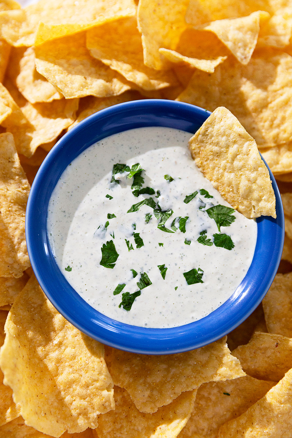 Chuy's Copycat Creamy Jalapeno Ranch: The Addictive Dip Recipe